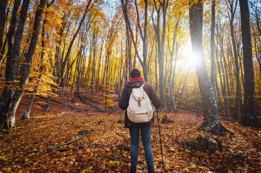 Sonbahar ormanlarındaki adam, fantezi orman manzarası