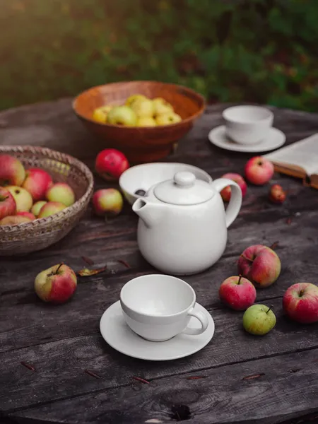 Красивая осень натюрморт в яблоневом саду — стоковое фото