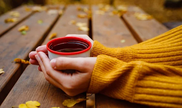 Taza de té caliente en manos femeninas sosteniéndolo en otoño de madera —  Fotos de Stock