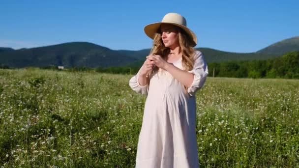 Молода красива вагітна жінка насолоджується ромашковим полем — стокове відео