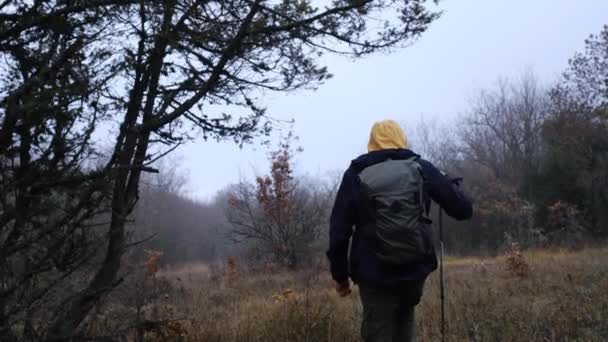 Fiatalember sétál a dombokon a ködös őszi erdőben.. — Stock videók