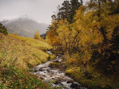 Kuzey Kafkasya, Arkhyz, Rusya 'ya seyahat