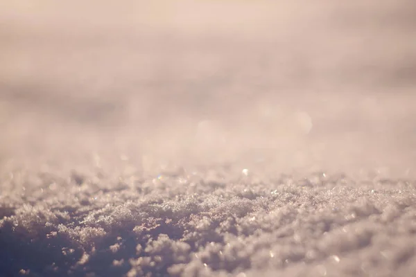 Makro skott bakgrund av färsk vit snö vid solnedgången. — Stockfoto