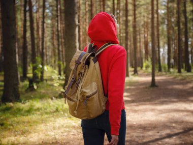 Orta Rusya, St. Petersburg, Sestroretsky bataklıkları