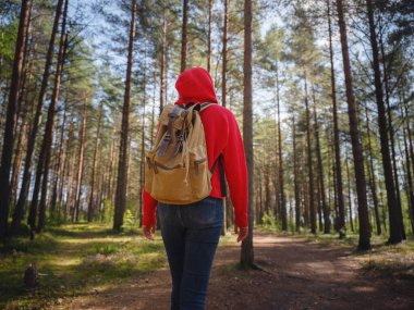 Orta Rusya, St. Petersburg, Sestroretsky bataklıkları