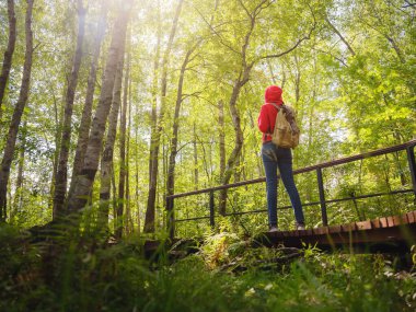 Orta Rusya, St. Petersburg, Sestroretsky bataklıkları