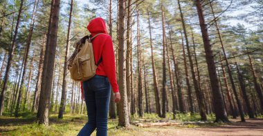 Orta Rusya, St. Petersburg, Sestroretsky bataklıkları