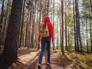 Orta Rusya, St. Petersburg, Sestroretsky bataklıkları