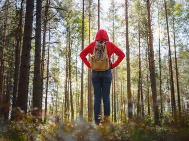 Orta Rusya, St. Petersburg, Sestroretsky bataklıkları