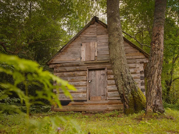Rusya 'ya yaz seyahati, Torzhok şehri.