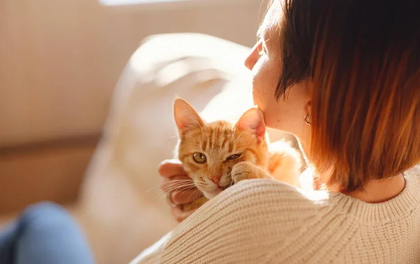 집에서 고양이 랑 소파에서 쉬고 있는 여자 — 스톡 사진