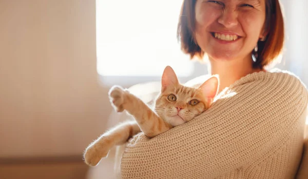 Young Asian Woman Wears Warm Sweater Resting Tabby Cat Sofa — Stock Photo, Image