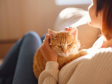 Genç Asyalı kadın, bir sonbahar günü evdeki kanepede tekir kediyle dinlenirken sıcak süveter giyer. Kızıl evcil hayvanı tutan harika bir kadının kapalı çekimleri. Evde sabah uykusu vakti. Yumuşak odak.