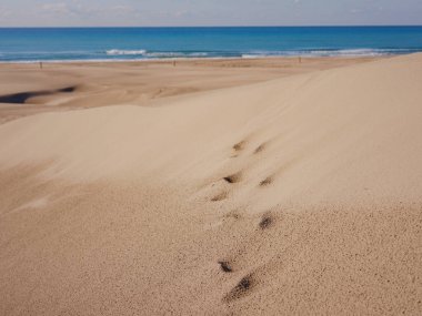 Patara plajı Türkiye 'de ünlü bir turizm merkezi ve doğal varış yeridir. Turuncu kum tepeleri ve tepelerin görkemli manzarası