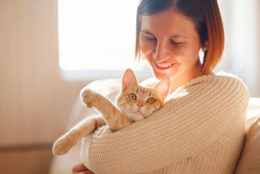 Genç Asyalı kadın, bir sonbahar günü evdeki kanepede tekir kediyle dinlenirken sıcak süveter giyer. Kızıl evcil hayvanı tutan harika bir kadının kapalı çekimleri. Evde sabah uykusu vakti. Yumuşak odak.