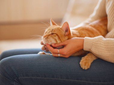Kadın kedisiyle evdeki kanepede dinleniyor.