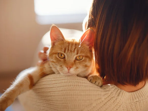 집에서 고양이 랑 소파에서 쉬고 있는 여자 — 스톡 사진