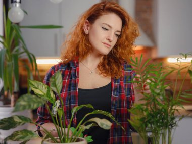 Evde bahçıvanlık, ev bitkisi aşkı, serbest çalışma..