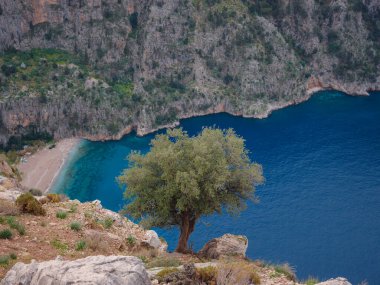 Kelebek vadisi, hindiye yolculuk