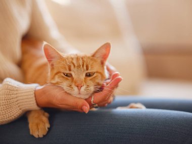 Kadın kedisiyle evdeki kanepede dinleniyor.