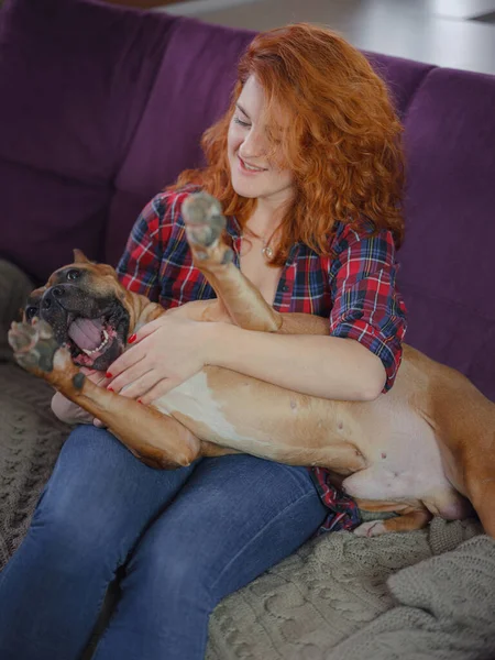 Mujer feliz acariciando su staffordshire terrier mericana en el sofá en casa en la sala de estar —  Fotos de Stock