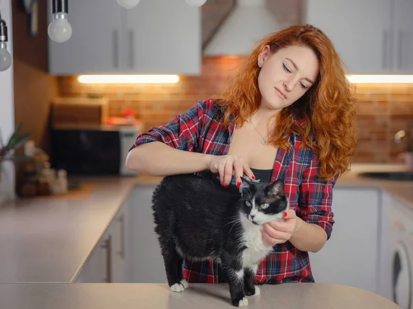 Mulher gato grooming em casa — Fotografia de Stock