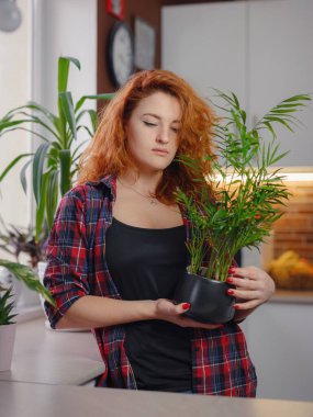 Ekose gömlekli gülümseyen kadın bahçıvan bitkilerle ilgileniyor. Evde bahçıvanlık, ev bitkisi sevgisi, serbest çalışma. Evde bahçıvanlık ve yavaş yaşam ritüelleri. Kapalı alanda bahçe işleri..