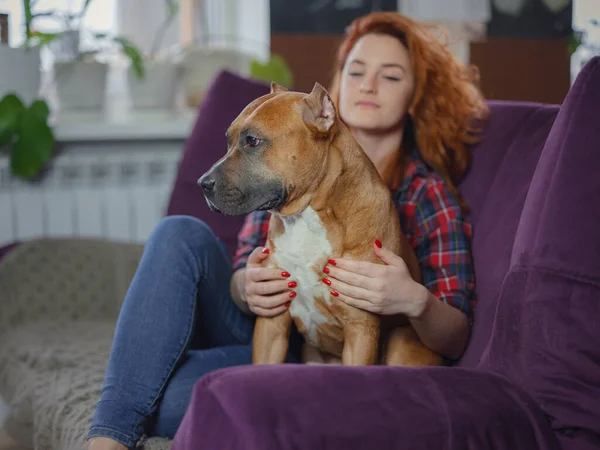 Happy Woman Petting Her Merican Staffordshire Terrier Couch Home Living — Fotografia de Stock