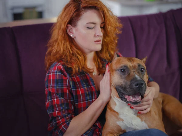 Mujer Feliz Acariciando Staffordshire Terrier Mericano Sofá Casa Sala Estar —  Fotos de Stock