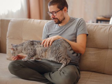 Sahibi oturma odasında kanepede dinlenirken kediyle oynuyor. Genç bir adam evde evcil hayvanla dinleniyor. Evcil hayvan konsepti