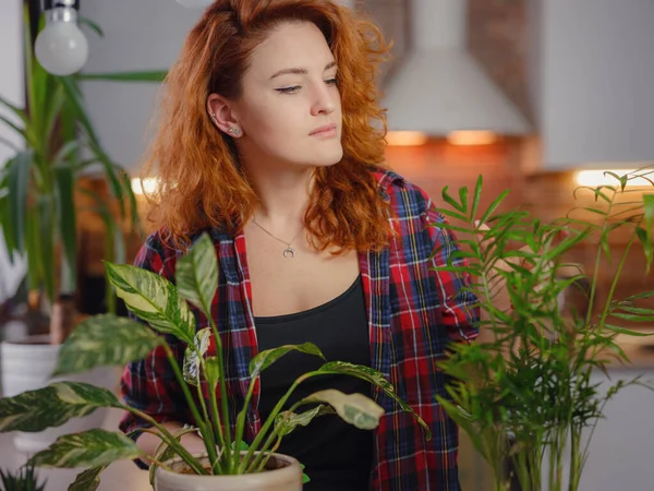 Ekose gömlekli gülümseyen kadın bahçıvan bitkilerle ilgileniyor. Evde bahçıvanlık, ev bitkisi sevgisi, serbest çalışma. Evde bahçıvanlık ve yavaş yaşam ritüelleri. Kapalı alanda bahçe işleri..