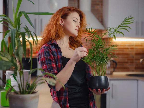 Young Smiling Female Gardener Plaid Shirt Taking Care Plants Home — Stock Photo, Image