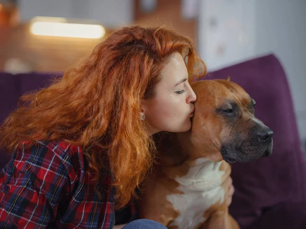 Mujer Feliz Acariciando Staffordshire Terrier Mericano Sofá Casa Sala Estar —  Fotos de Stock