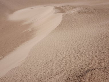Patara plajı Türkiye 'nin ünlü turizm merkezi ve doğal varış yeridir..