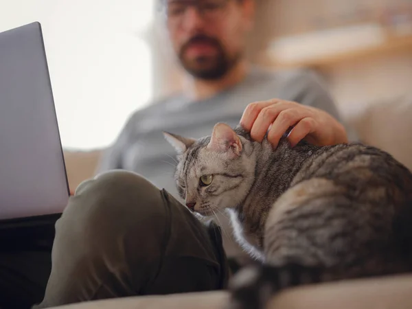 Working at home with pet. Man works from home typing on laptop. — Stock fotografie