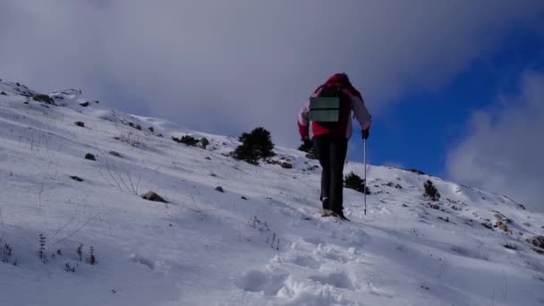 Alpinista atinge o topo da montanha nevada no dia ensolarado de inverno. — Vídeo de Stock
