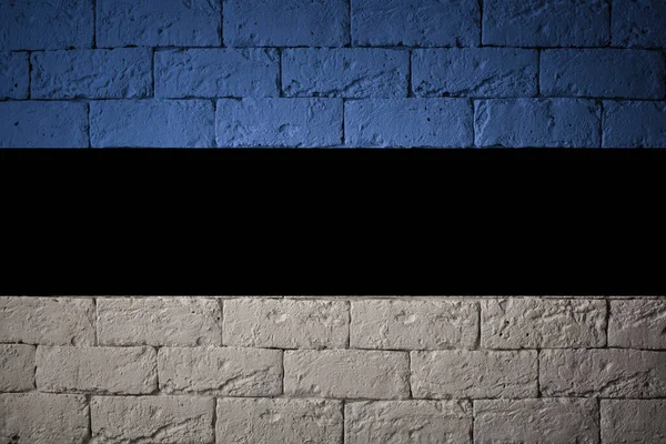 Bandera Con Proporciones Originales Primer Plano Bandera Grunge Estonia — Foto de Stock