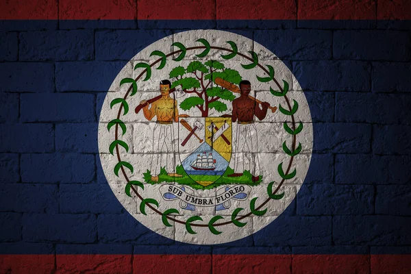 Flaga Oryginalnych Proporcji Zbliżenie Grunge Pod Banderą Belize — Zdjęcie stockowe