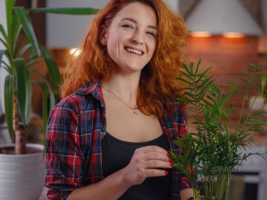 Evde bahçıvanlık, ev bitkisi aşkı, serbest çalışma..