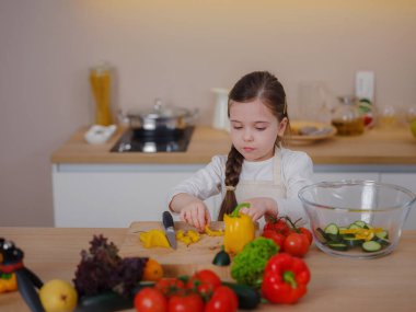Genç kız seçmen evde internet pişirme hakkında sosyal medya videosu yapıyor