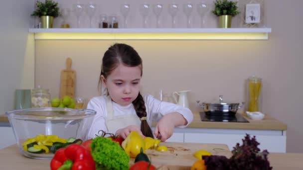 Young Girl Vlogger โอโซเช ยลม ยเก ยวก บการท าอาหารท านด — วีดีโอสต็อก