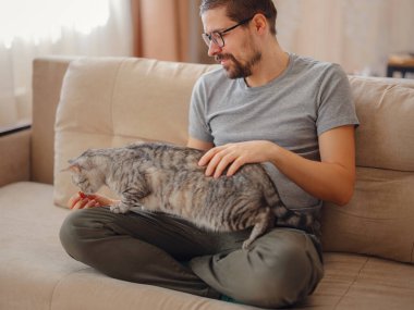 Sahibi oturma odasında kanepede dinlenirken kediyle oynuyor. Genç bir adam evde evcil hayvanla dinleniyor. Evcil hayvan konsepti