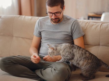 owner plays with cat while relaxing on sofa in living room. A young man is resting with pet at home. Pets concept