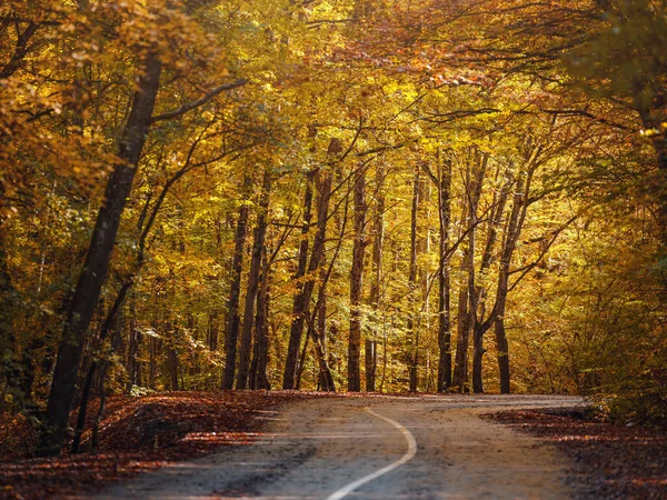 Reisen Tourismus Freizeitkonzept Herbst Bunte Landschaft Mit Geschwungener Fahrbahn Bäume — Stockfoto