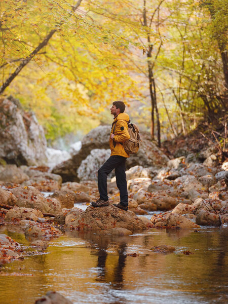 Travel and road trip concept at autumn. Adventure and active lifestyle in nature. Tourist hiking in forest. Caucasian man in yellow jacket walks in woods.
