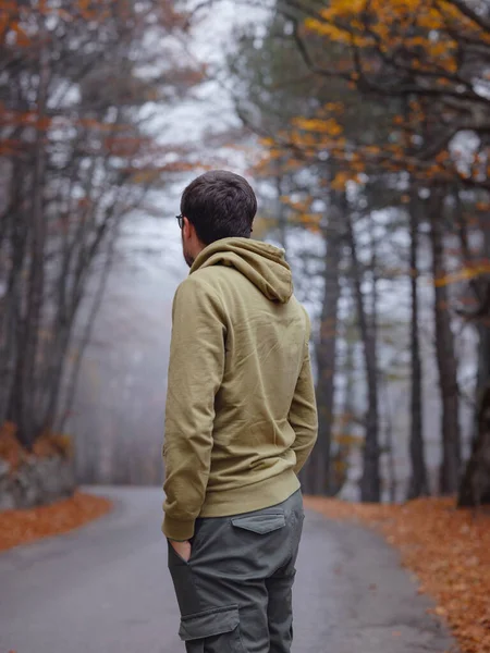 Young Handsome Man Posing Autumn Forest Road Young Hipster Guy Stock Photo