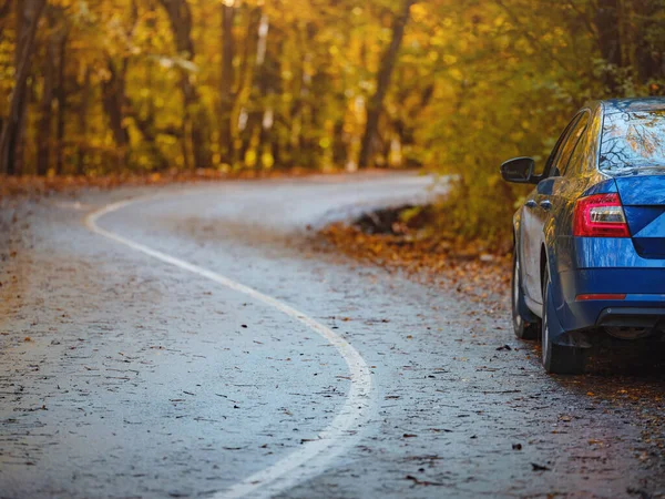 Blue Car on asphalt road on sunny autumn day in park. Golden autumn in forest trail. Travel, tourism, recreation concept in fall concept