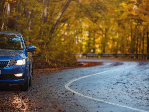 Blue Car on asphalt road on sunny autumn day in park. Golden autumn in forest trail. Travel, tourism, recreation concept in fall concept