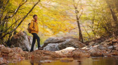Sonbaharda seyahat ve yolculuk konsepti. Macera ve aktif yaşam tarzı. Ormanda turist yürüyüşü. Sarı ceketli beyaz adam ormanda yürüyor..