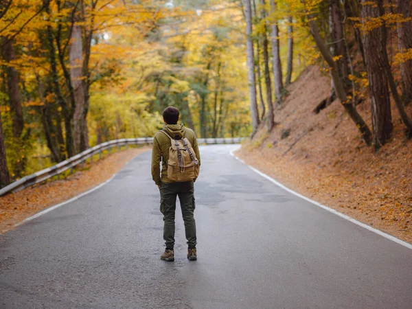 Young Handsome Man Posing Autumn Forest Road Young Hipster Guy Fotos De Stock Sin Royalties Gratis